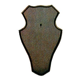 Gehörnbretter für Rehwild 19 x 12 cm abgerundete Form