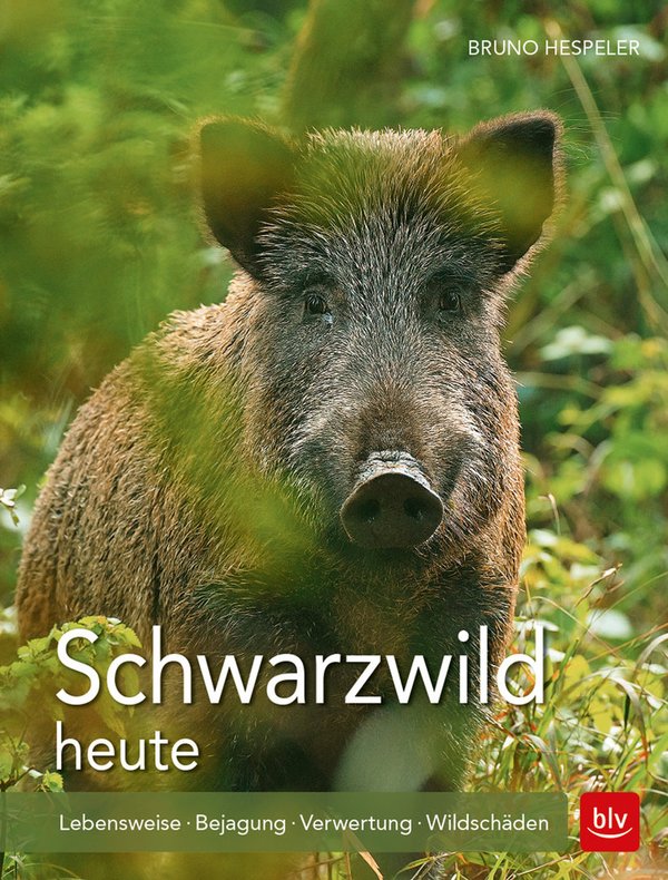 Bruno Hespeler: Schwarzwild heute